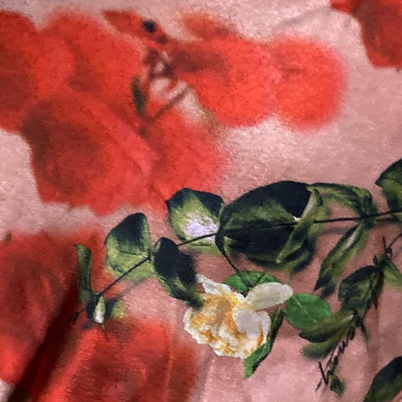 NWT House of CB Toira Draped Corset Rose Print Dress - Sz S - Picture 5 of 8